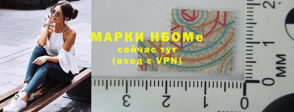 индика Кукмор