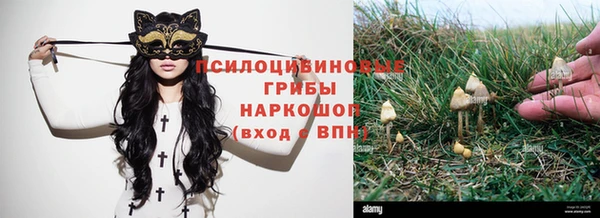 гашик Абаза